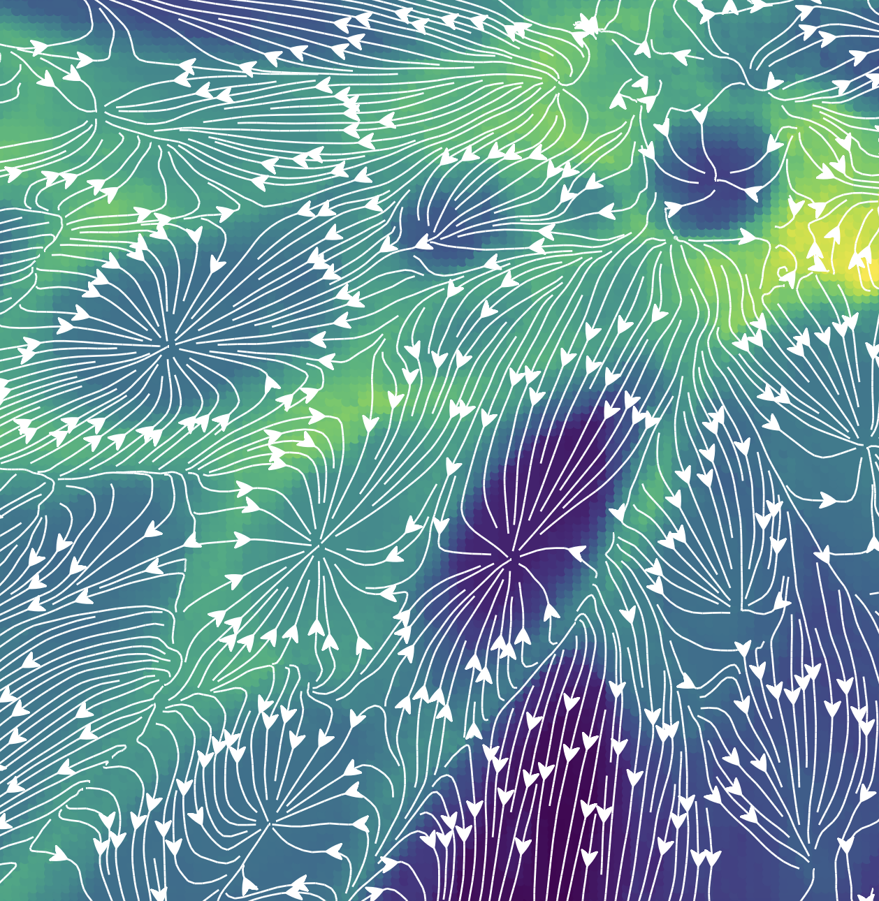 lgl.png